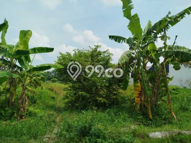 Tanah Komersial Dijual di Ngaglik Sleman 2601m2 Tanah Komersial Dijual di Ngaglik Sleman 2601m2