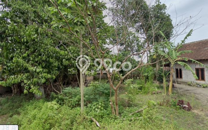 Tanah Dijual Lokasi Godean, Sleman Luas 660m2 Legalitas Aman Tanah Dijual Lokasi Godean, Sleman Luas 660m2 Legalitas Aman