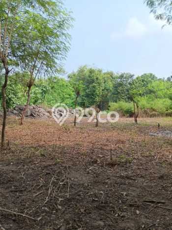 Lahan Investasi Lokasi Kalasan Sleman SHM Lahan Investasi Lokasi Kalasan Sleman SHM