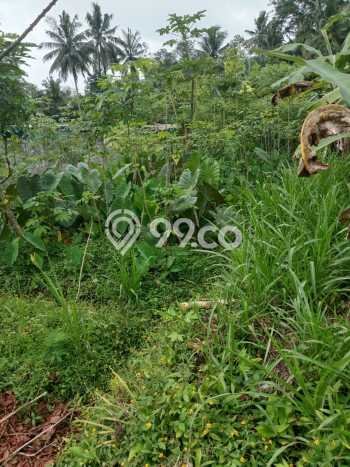 Tanah Dijual Lokasi Turi, Sleman dengan Luas Tanah 1010m2 dan Status SHM Tanah Dijual Lokasi Turi, Sleman dengan Luas Tanah 1010m2 dan Status SHM