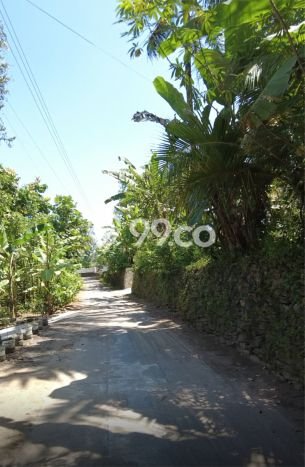 Tanah Dijual Lokasi Sedayu Bantul SHM Tanah Dijual Lokasi Sedayu Bantul SHM