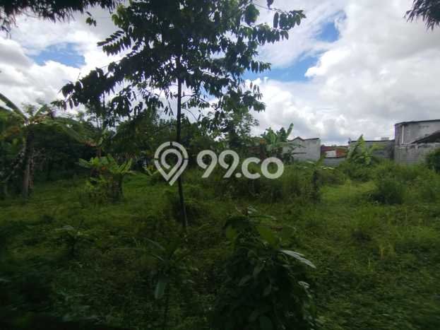 Lahan untuk Dijual di Sleman Sleman Luas 2369m2 Lahan untuk Dijual di Sleman Sleman Luas 2369m2