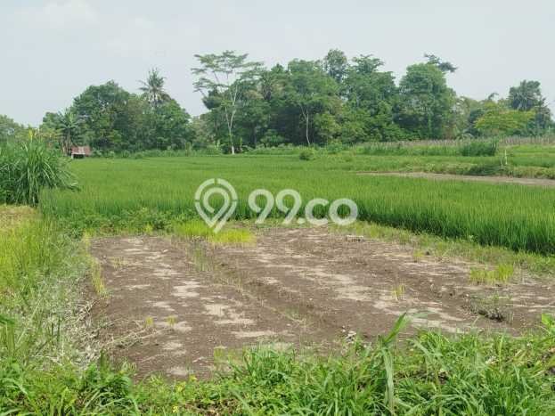 Lahan Dijual Lokasi Ngaglik, Sleman dengan Luas Tanah 2500m2 dan Status SHM Lahan Dijual Lokasi Ngaglik, Sleman dengan Luas Tanah 2500m2 dan Status SHM