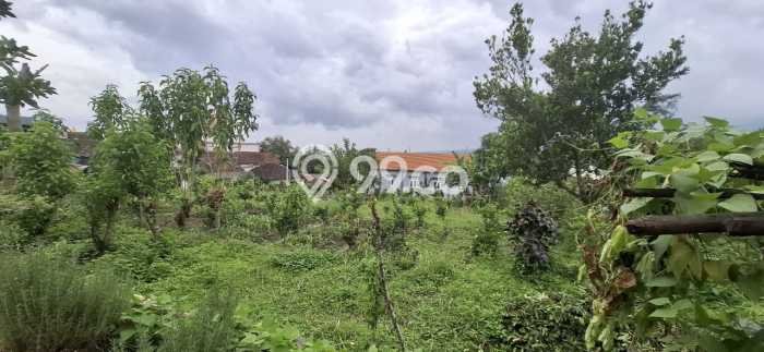 Lahan Investasi Lokasi Bumiaji Batu SHM Lahan Investasi Lokasi Bumiaji Batu SHM