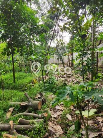 Tanah untuk Dijual di Pamulang Tangerang Selatan Luas 1127m2 Tanah untuk Dijual di Pamulang Tangerang Selatan Luas 1127m2