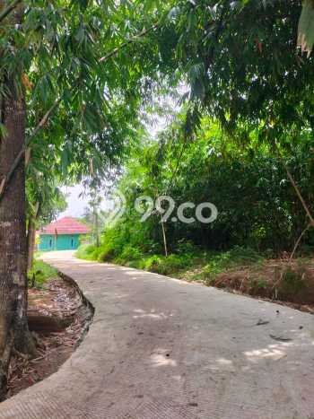 Untuk Dijual Tanah di Tenjo Bogor Luas 2635m2 SHM Untuk Dijual Tanah di Tenjo Bogor Luas 2635m2 SHM