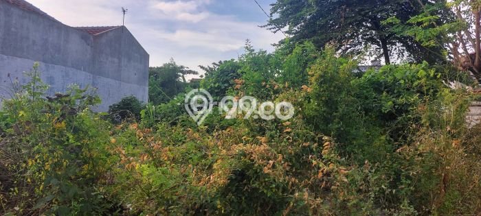 Tanah Dijual Area Strategis di Puri Anjasmoro Semarang 278m2 Tanah Dijual Area Strategis di Puri Anjasmoro Semarang 278m2