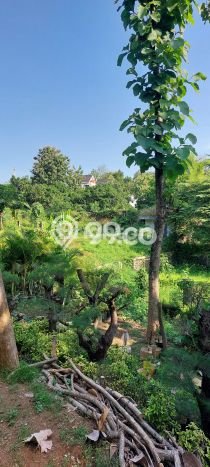 Tanah untuk Dijual Lokasi Tembalang, Semarang Luas 3300m2 SHM Tanah untuk Dijual Lokasi Tembalang, Semarang Luas 3300m2 SHM