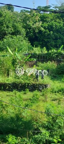 Tanah untuk Dijual Lokasi Tembalang, Semarang Luas 3300m2 SHM Tanah untuk Dijual Lokasi Tembalang, Semarang Luas 3300m2 SHM