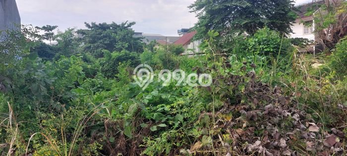 Tanah Dijual Area Strategis di Puri Anjasmoro Semarang 278m2 Tanah Dijual Area Strategis di Puri Anjasmoro Semarang 278m2