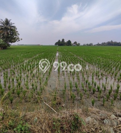 Tanah Kavling Dijual di Bekasi, Bekasi dengan Luas Tanah 14687m2 Tanah Kavling Dijual di Bekasi, Bekasi dengan Luas Tanah 14687m2