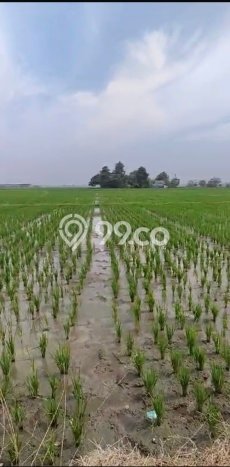 Tanah Kavling Dijual di Bekasi, Bekasi dengan Luas Tanah 14687m2 Tanah Kavling Dijual di Bekasi, Bekasi dengan Luas Tanah 14687m2