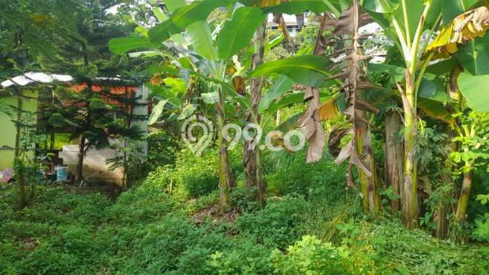 Lahan Kosong Dijual di Semarang Selatan, Semarang, Luas 1200m2 Area Strategis Lahan Kosong Dijual di Semarang Selatan, Semarang, Luas 1200m2 Area Strategis