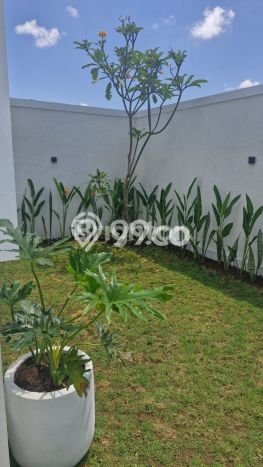 FEATURED! Rumah kawasan Canggu, 2 KT, Area Premium, Luas 230m² Bangunan 150m² FEATURED! Rumah kawasan Canggu, 2 KT, Area Premium, Luas 230m² Bangunan 150m²