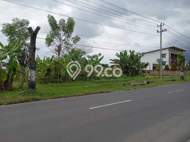 Tanah Kosong Disewakan di Grogol, Sukoharjo, Luas 6100m2 Tanah Kosong Disewakan di Grogol, Sukoharjo, Luas 6100m2