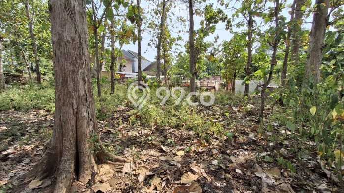 Tanah Dijual Lokasi Karanganyar, Solo dengan Luas Tanah 1089m2 dan Status SHM Tanah Dijual Lokasi Karanganyar, Solo dengan Luas Tanah 1089m2 dan Status SHM