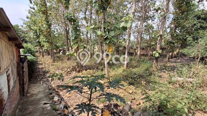 Tanah Dijual Lokasi Karanganyar, Solo dengan Luas Tanah 1089m2 dan Status SHM Tanah Dijual Lokasi Karanganyar, Solo dengan Luas Tanah 1089m2 dan Status SHM