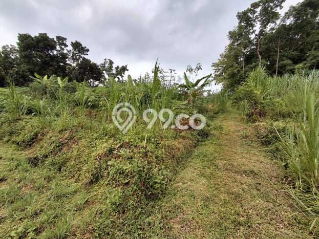Lahan Investasi Lokasi Matesih Karanganyar SHM Lahan Investasi Lokasi Matesih Karanganyar SHM