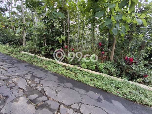 Lahan Investasi Lokasi Matesih Karanganyar SHM Lahan Investasi Lokasi Matesih Karanganyar SHM