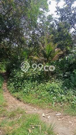 Tanah Dijual Lokasi Sawangan, Magelang Luas 6885m2 Legalitas Aman Tanah Dijual Lokasi Sawangan, Magelang Luas 6885m2 Legalitas Aman