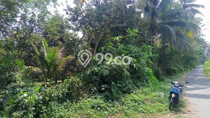Tanah Dijual Lokasi Sawangan, Magelang Luas 6885m2 Legalitas Aman Tanah Dijual Lokasi Sawangan, Magelang Luas 6885m2 Legalitas Aman