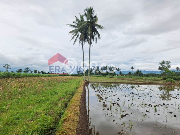 Tanah Strategis Dijual di Tumpang Malang 2070m2 Tanah Strategis Dijual di Tumpang Malang 2070m2