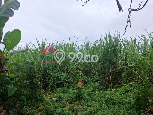 Tanah Strategis Dijual di Tumpang Malang 2070m2 Tanah Strategis Dijual di Tumpang Malang 2070m2