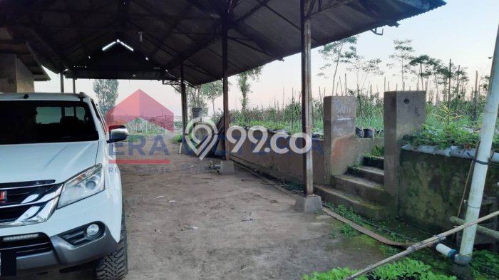 Tanah Area Strategis Kawasan Tutur, Luas 70000m2m², Ideal untuk Bisnis Tanah Area Strategis Kawasan Tutur, Luas 70000m2m², Ideal untuk Bisnis