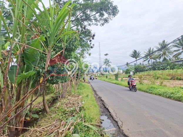 Tanah Strategis Dijual di Tumpang Malang 2070m2 Tanah Strategis Dijual di Tumpang Malang 2070m2