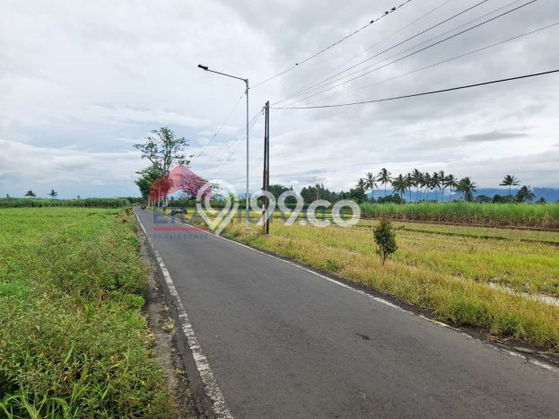 Tanah Strategis Dijual di Tumpang Malang 2070m2 Tanah Strategis Dijual di Tumpang Malang 2070m2