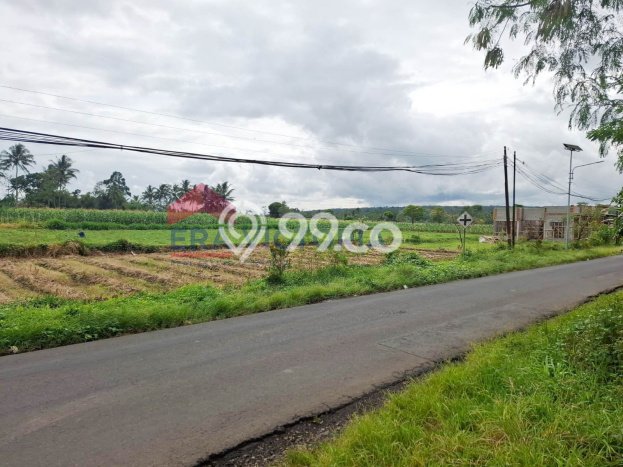 Tanah Strategis Dijual di Tumpang Malang 2070m2 Tanah Strategis Dijual di Tumpang Malang 2070m2