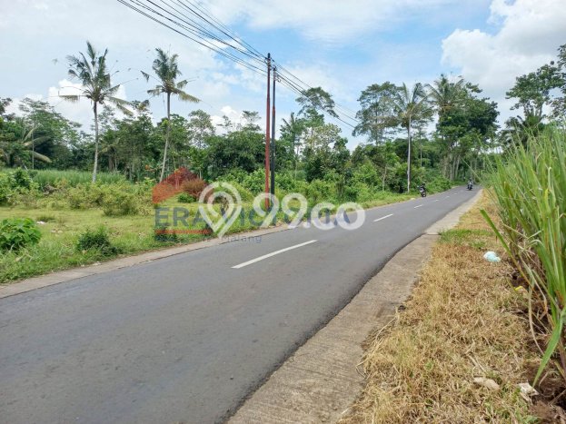 Kavling Tanah Dijual di Jabung, Malang, Luas 1904m2 Area Strategis Kavling Tanah Dijual di Jabung, Malang, Luas 1904m2 Area Strategis
