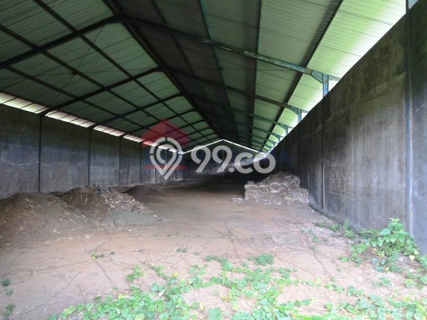 Gudang Disewakan Lokasi Kepanjen Malang Harga Spesial! Gudang Disewakan Lokasi Kepanjen Malang Harga Spesial!
