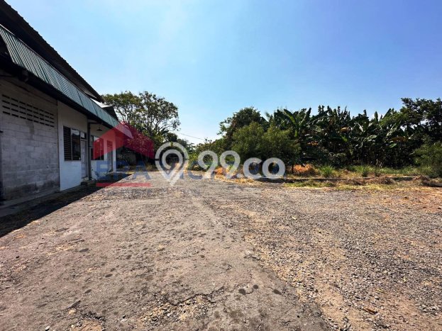 Disewakan Gudang Bisnis di Purwosari Pasuruan Harga Sewa Menarik Bisa Nego Disewakan Gudang Bisnis di Purwosari Pasuruan Harga Sewa Menarik Bisa Nego