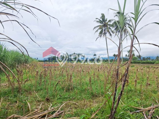 Tanah Strategis Dijual di Tumpang Malang 2070m2 Tanah Strategis Dijual di Tumpang Malang 2070m2