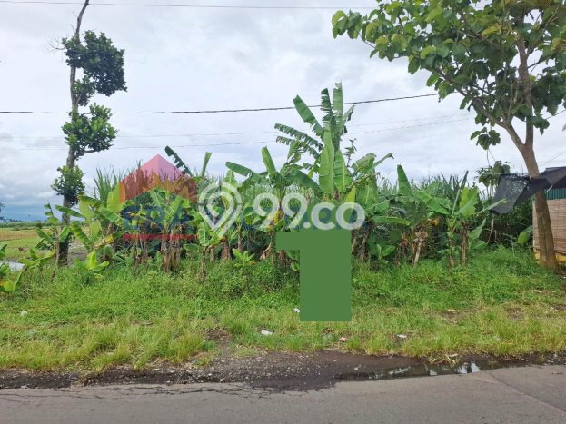Tanah Strategis Dijual di Tumpang Malang 2070m2 Tanah Strategis Dijual di Tumpang Malang 2070m2