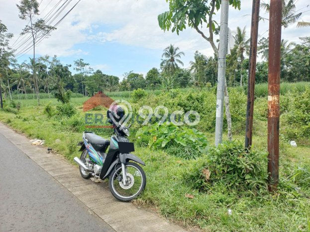 Kavling Tanah Dijual di Jabung, Malang, Luas 1904m2 Area Strategis Kavling Tanah Dijual di Jabung, Malang, Luas 1904m2 Area Strategis