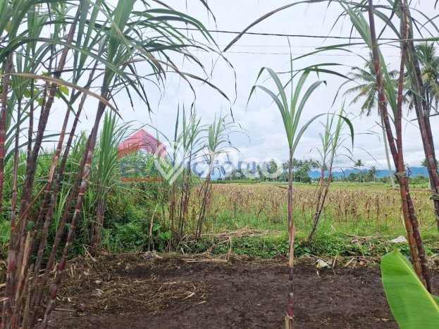 Tanah Strategis Dijual di Tumpang Malang 2070m2 Tanah Strategis Dijual di Tumpang Malang 2070m2