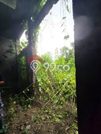 Gudang Disewakan Lokasi Kepanjen Malang Harga Spesial! Gudang Disewakan Lokasi Kepanjen Malang Harga Spesial!