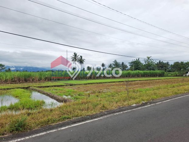 Tanah Strategis Dijual di Tumpang Malang 2070m2 Tanah Strategis Dijual di Tumpang Malang 2070m2