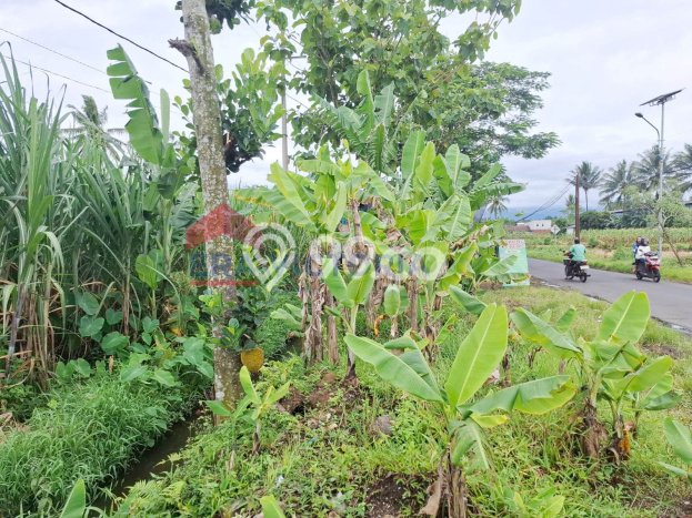 Tanah Strategis Dijual di Tumpang Malang 2070m2 Tanah Strategis Dijual di Tumpang Malang 2070m2