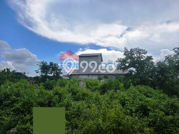 Gudang Disewakan Lokasi Kepanjen Malang Harga Spesial! Gudang Disewakan Lokasi Kepanjen Malang Harga Spesial!