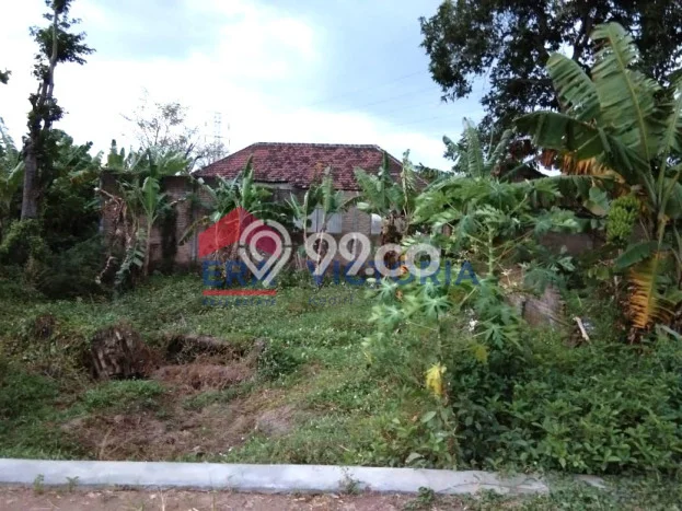 Rumah Bagus Siap Huni Di Prambon Luas 160m2 Lokasi Strategis Rumah Bagus Siap Huni Di Prambon Luas 160m2 Lokasi Strategis