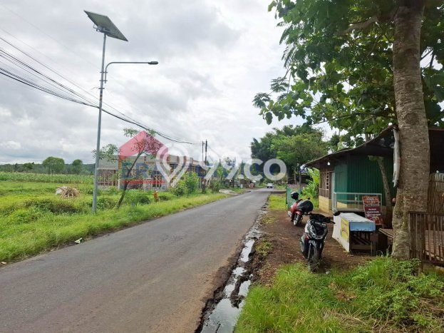 Tanah Strategis Dijual di Tumpang Malang 2070m2 Tanah Strategis Dijual di Tumpang Malang 2070m2