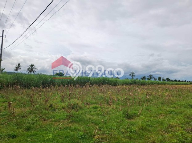 Tanah Strategis Dijual di Tumpang Malang 2070m2 Tanah Strategis Dijual di Tumpang Malang 2070m2