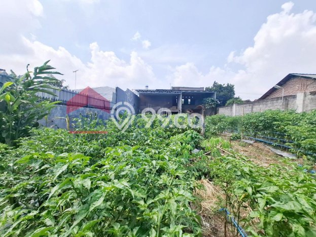 Lokasi terbaik! Rumah siap pakai dikontrakkan di Pakis LB 280m2 Lokasi terbaik! Rumah siap pakai dikontrakkan di Pakis LB 280m2