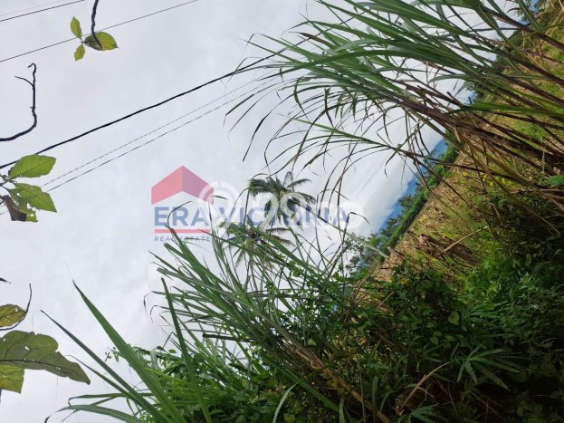 Tanah Strategis Dijual di Tumpang Malang 2070m2 Tanah Strategis Dijual di Tumpang Malang 2070m2