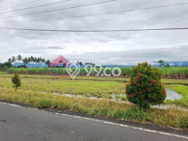 Tanah Strategis Dijual di Tumpang Malang 2070m2 Tanah Strategis Dijual di Tumpang Malang 2070m2