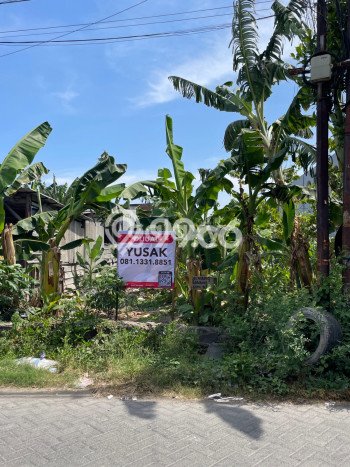 Tanah Dijual Lokasi Sedati, Sidoarjo Luas 504m2 Legalitas Aman Tanah Dijual Lokasi Sedati, Sidoarjo Luas 504m2 Legalitas Aman