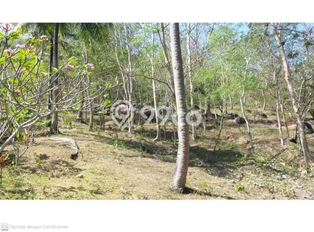 Tanah Dijual di Lombok Barat Seluas 5200m2 Strategis Tanah Dijual di Lombok Barat Seluas 5200m2 Strategis